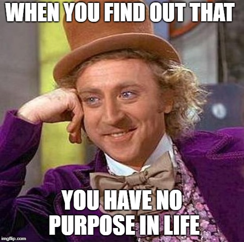 Creepy Condescending Wonka | WHEN YOU FIND OUT THAT; YOU HAVE NO PURPOSE IN LIFE | image tagged in memes,creepy condescending wonka | made w/ Imgflip meme maker