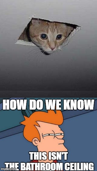 Peeper is a creeper | HOW DO WE KNOW; THIS ISN'T THE BATHROOM CEILING | image tagged in futurama fry,ceiling cat,bathroom,peeping tom,ceiling | made w/ Imgflip meme maker