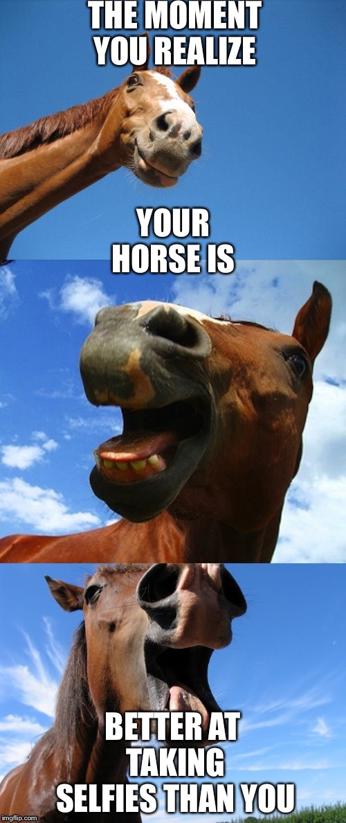 Just Horsing Around | THE MOMENT YOU REALIZE; YOUR HORSE IS; BETTER AT TAKING SELFIES THAN YOU | image tagged in just horsing around | made w/ Imgflip meme maker