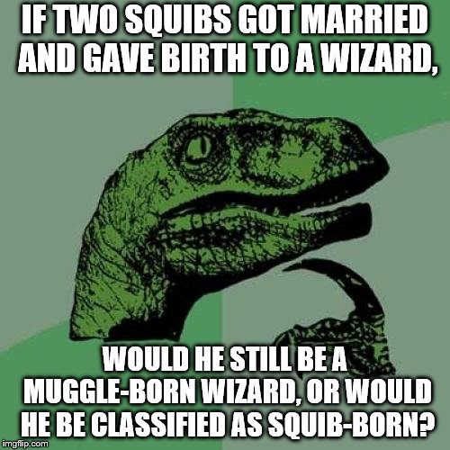 When a wizard is born to 2 Squibs | IF TWO SQUIBS GOT MARRIED AND GAVE BIRTH TO A WIZARD, WOULD HE STILL BE A MUGGLE-BORN WIZARD, OR WOULD HE BE CLASSIFIED AS SQUIB-BORN? | image tagged in memes,philosoraptor,squib,harry potter,muggle,wizard | made w/ Imgflip meme maker