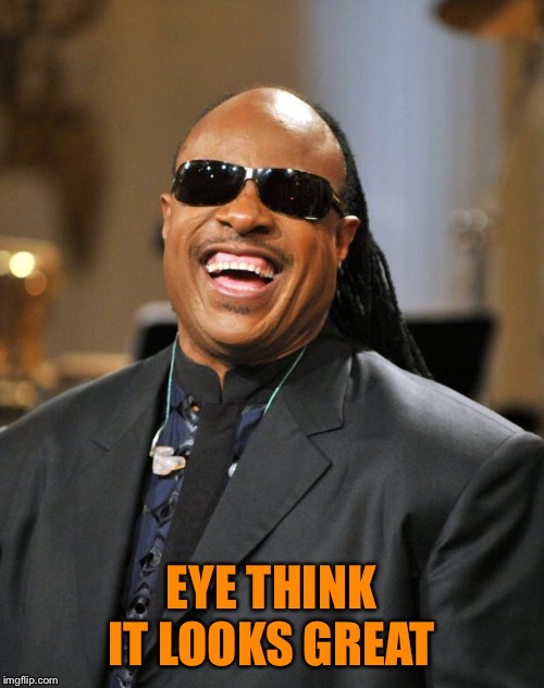 Stevie Wonder | EYE THINK IT LOOKS GREAT | image tagged in stevie wonder | made w/ Imgflip meme maker