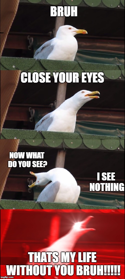 Inhaling Seagull Meme | BRUH; CLOSE YOUR EYES; NOW WHAT DO YOU SEE? I SEE NOTHING; THATS MY LIFE WITHOUT YOU BRUH!!!!! | image tagged in memes,inhaling seagull,scumbag | made w/ Imgflip meme maker