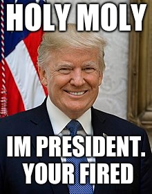 your fired | HOLY MOLY; IM PRESIDENT. YOUR FIRED | image tagged in your fired,donald trump | made w/ Imgflip meme maker