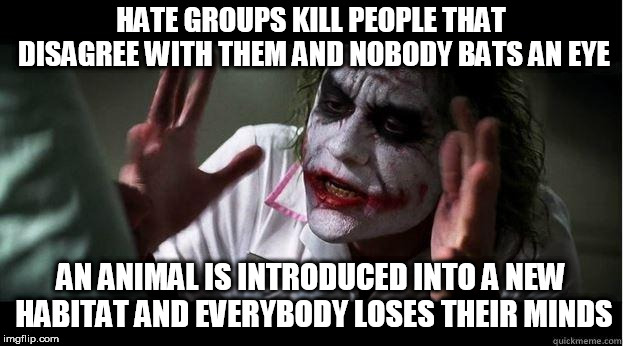 nobody bats an eye | HATE GROUPS KILL PEOPLE THAT DISAGREE WITH THEM AND NOBODY BATS AN EYE; AN ANIMAL IS INTRODUCED INTO A NEW HABITAT AND EVERYBODY LOSES THEIR MINDS | image tagged in nobody bats an eye,hate group,hate groups,invasive species,murder,hate | made w/ Imgflip meme maker