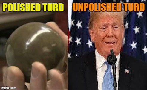 POTURD | UNPOLISHED TURD; POLISHED TURD | image tagged in potus,turd,shit,trump,gop,don | made w/ Imgflip meme maker
