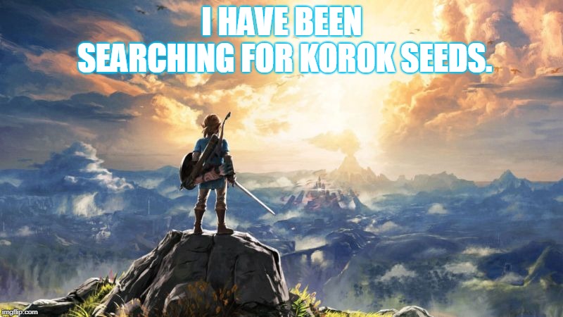 Breath of the Wild | I HAVE BEEN SEARCHING FOR KOROK SEEDS. | image tagged in breath of the wild | made w/ Imgflip meme maker