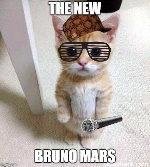 Cute Cat | THE NEW; BRUNO MARS | image tagged in memes,cute cat,scumbag | made w/ Imgflip meme maker