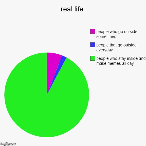 real life | people who stay inside and make memes all day, people that go outside everyday , people who go outside sometimes | image tagged in funny,pie charts | made w/ Imgflip chart maker