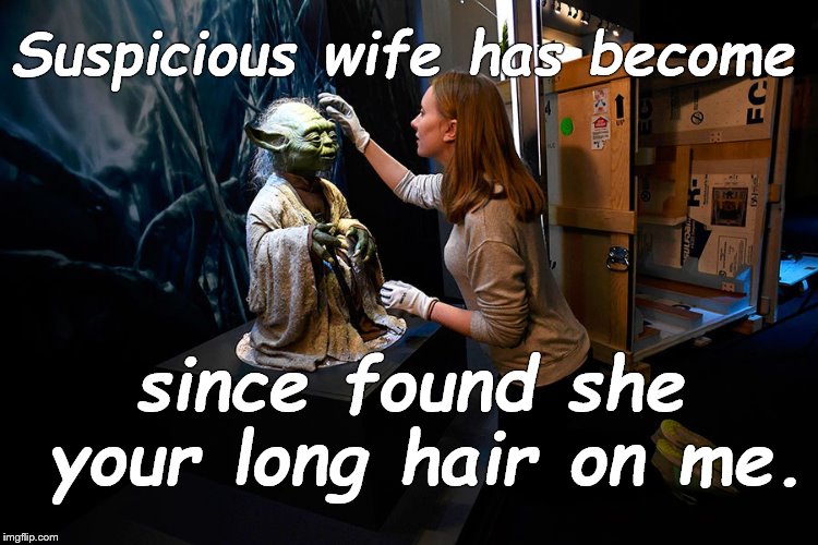 First world problem even occur off-world. | Suspicious wife has become; since found she your long hair on me. | image tagged in yoda hitting on museum babe,you play you pay,off-world,don't do the crime if you can't do the time,douglie,you dope | made w/ Imgflip meme maker