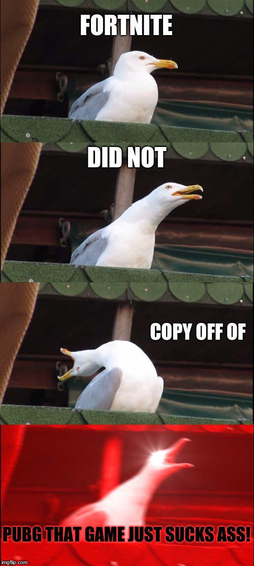 Inhaling Seagull | FORTNITE; DID NOT; COPY OFF OF; PUBG THAT GAME JUST SUCKS ASS! | image tagged in memes,inhaling seagull | made w/ Imgflip meme maker