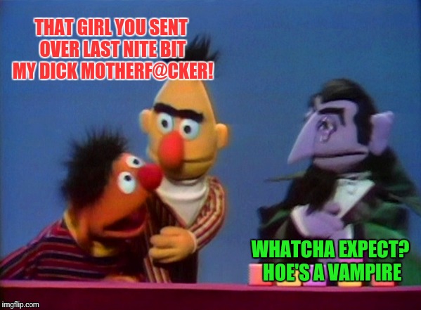 The Sesame Street Pimp | THAT GIRL YOU SENT OVER LAST NITE BIT MY DICK MOTHERF@CKER! WHATCHA EXPECT? HOE'S A VAMPIRE | image tagged in the count,bert and ernie,hoes,vampire | made w/ Imgflip meme maker