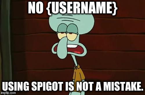 no patrick mayonnaise is not a instrument | NO {USERNAME}; USING SPIGOT IS NOT A MISTAKE. | image tagged in no patrick mayonnaise is not a instrument | made w/ Imgflip meme maker