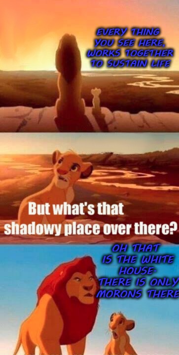 Simba Shadowy Place Meme | EVERY THING YOU SEE HERE, WORKS TOGETHER TO SUSTAIN LIFE; OH THAT IS THE WHITE HOUSE. THERE IS ONLY MORONS THERE | image tagged in memes,simba shadowy place,white house,funny,politics | made w/ Imgflip meme maker