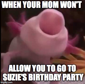 NOT SUZIE'S BIRTHDAY! | WHEN YOUR MOM WON'T; ALLOW YOU TO GO TO SUZIE'S BIRTHDAY PARTY | image tagged in see nobody cares,jesus | made w/ Imgflip meme maker
