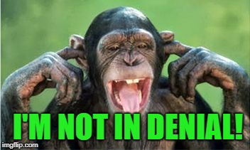 nope | I'M NOT IN DENIAL! | image tagged in chimp denial,funny | made w/ Imgflip meme maker