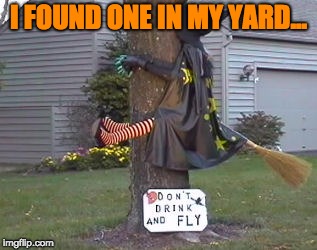 Please lay off the alcohol before tricking... | I FOUND ONE IN MY YARD... | image tagged in halloween,trick or treat | made w/ Imgflip meme maker