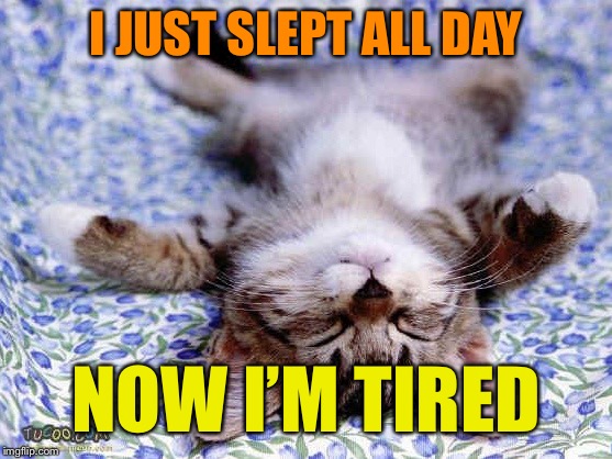 The billionth cat meme ever created. Maybe. | I JUST SLEPT ALL DAY; NOW I’M TIRED | image tagged in upsidedwon sleeping cat,cat memes | made w/ Imgflip meme maker