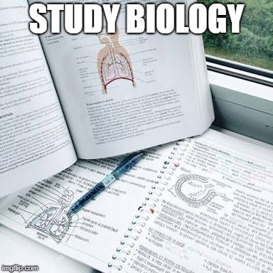 Study Biology  | STUDY BIOLOGY | image tagged in study biology | made w/ Imgflip meme maker