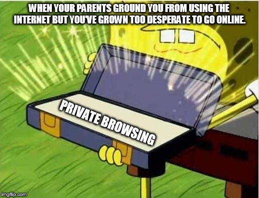 Alexa, play Smoke Weed Everyday. | WHEN YOUR PARENTS GROUND YOU FROM USING THE INTERNET BUT YOU'VE GROWN TOO DESPERATE TO GO ONLINE. PRIVATE BROWSING | image tagged in spongbob secret weapon,memes,spongebob,internet,parents,grounded | made w/ Imgflip meme maker