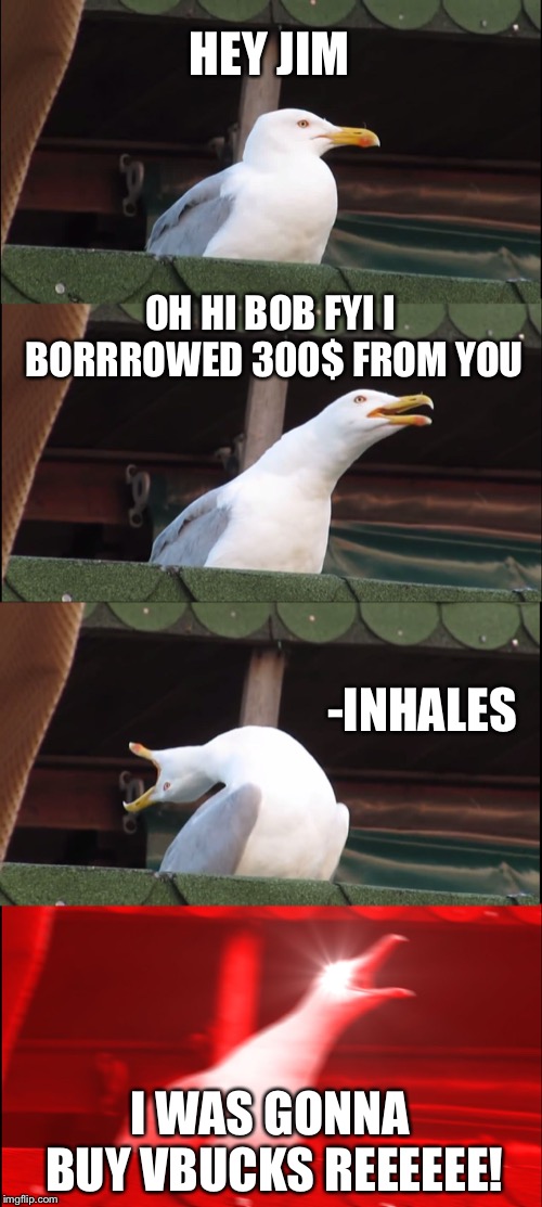 Borrowing seagull | HEY JIM; OH HI BOB FYI I BORRROWED 300$ FROM YOU; -INHALES; I WAS GONNA BUY VBUCKS REEEEEE! | image tagged in memes,inhaling seagull | made w/ Imgflip meme maker