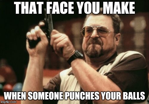 Am I The Only One Around Here Meme | THAT FACE YOU MAKE; WHEN SOMEONE PUNCHES YOUR BALLS | image tagged in memes,am i the only one around here | made w/ Imgflip meme maker