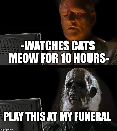 I'll Just Wait Here | -WATCHES CATS MEOW FOR 10 HOURS-; PLAY THIS AT MY FUNERAL | image tagged in memes,ill just wait here | made w/ Imgflip meme maker