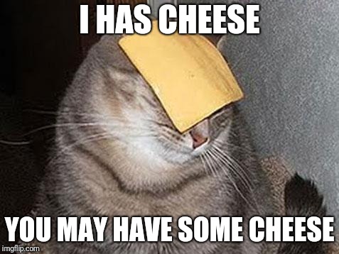 Cats with cheese | I HAS CHEESE YOU MAY HAVE SOME CHEESE | image tagged in cats with cheese | made w/ Imgflip meme maker