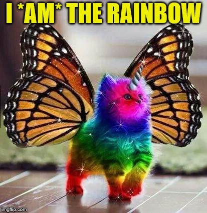 Rainbow unicorn butterfly kitten | I *AM* THE RAINBOW | image tagged in rainbow unicorn butterfly kitten | made w/ Imgflip meme maker