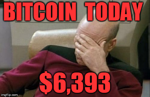 Captain Picard Facepalm Meme | BITCOIN  TODAY; $6,393 | image tagged in memes,captain picard facepalm | made w/ Imgflip meme maker