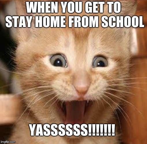 WHEN YOU GET TO STAY HOME FROM SCHOOL; YASSSSSS!!!!!!! | image tagged in middle school | made w/ Imgflip meme maker