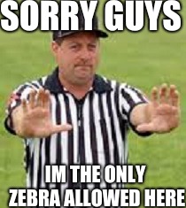reff | SORRY GUYS; IM THE ONLY ZEBRA ALLOWED HERE | image tagged in reff | made w/ Imgflip meme maker