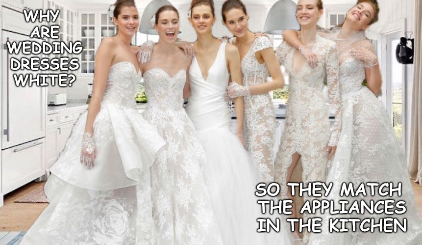 Something Olde, Something New, Something Borrowed and a White Kitchen | WHY ARE WEDDING DRESSES WHITE? SO THEY MATCH THE APPLIANCES IN THE KITCHEN | image tagged in wedding dress,kitchen appliance | made w/ Imgflip meme maker
