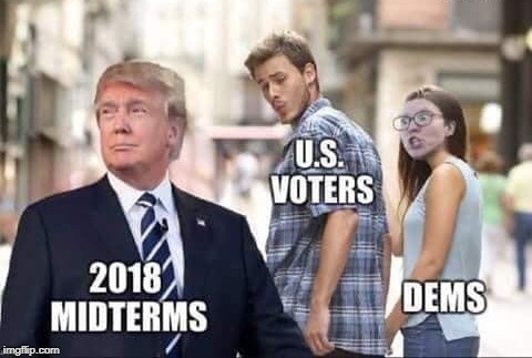 Midterms onto 2020!   | U.S. VOTERS; 2018 MIDTERMS;DEMS | image tagged in distracted boyfriend,midterms,president trump,trump 2020,triggered liberal,memes | made w/ Imgflip meme maker