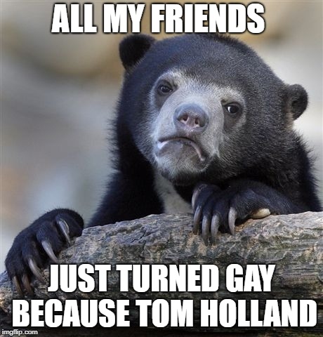 Confession Bear | ALL MY FRIENDS; JUST TURNED GAY BECAUSE TOM HOLLAND | image tagged in memes,confession bear | made w/ Imgflip meme maker