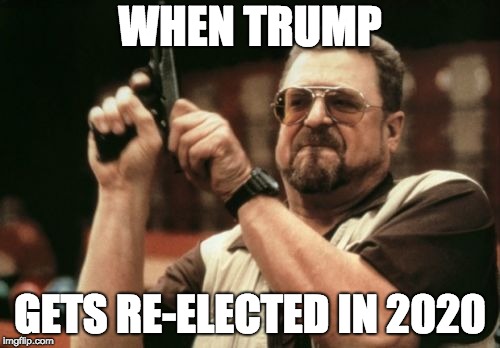 Am I The Only One Around Here | WHEN TRUMP; GETS RE-ELECTED IN 2020 | image tagged in memes,am i the only one around here | made w/ Imgflip meme maker