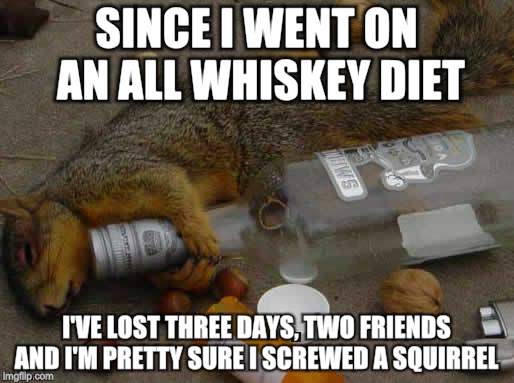 I drink to forget....something | SINCE I WENT ON AN ALL WHISKEY DIET; I'VE LOST THREE DAYS, TWO FRIENDS AND I'M PRETTY SURE I SCREWED A SQUIRREL | image tagged in dirty meme week,drunk,squirrel | made w/ Imgflip meme maker