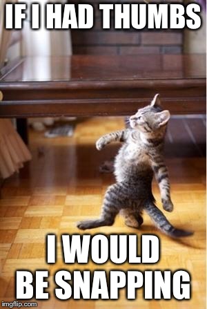 Walking Cat | IF I HAD THUMBS; I WOULD BE SNAPPING | image tagged in walking cat | made w/ Imgflip meme maker