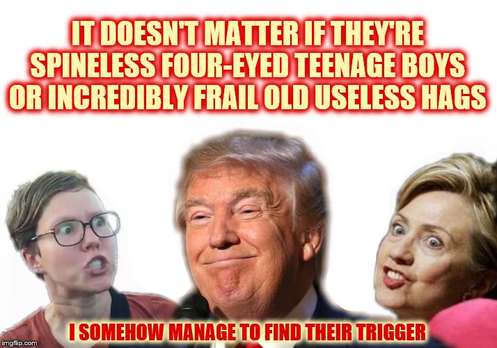 Triggery Trump |  IT DOESN'T MATTER IF THEY'RE SPINELESS FOUR-EYED TEENAGE BOYS OR INCREDIBLY FRAIL OLD USELESS HAGS; I SOMEHOW MANAGE TO FIND THEIR TRIGGER | image tagged in trump,phunny,theelliot,hillary,triggered liberal,memes | made w/ Imgflip meme maker