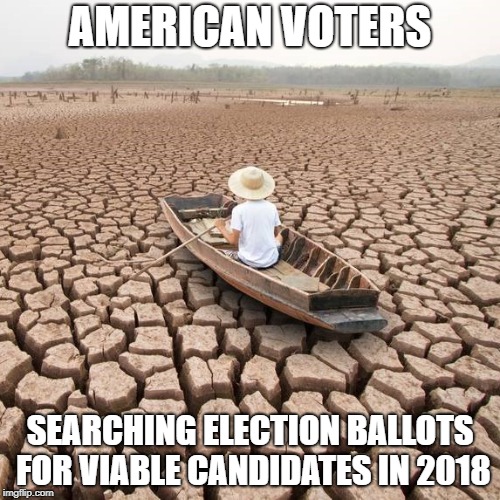 404 Ethical Political Candidate Not Found | AMERICAN VOTERS; SEARCHING ELECTION BALLOTS FOR VIABLE CANDIDATES IN 2018 | image tagged in election 2018,vote,ballot,election,candidate,politics | made w/ Imgflip meme maker