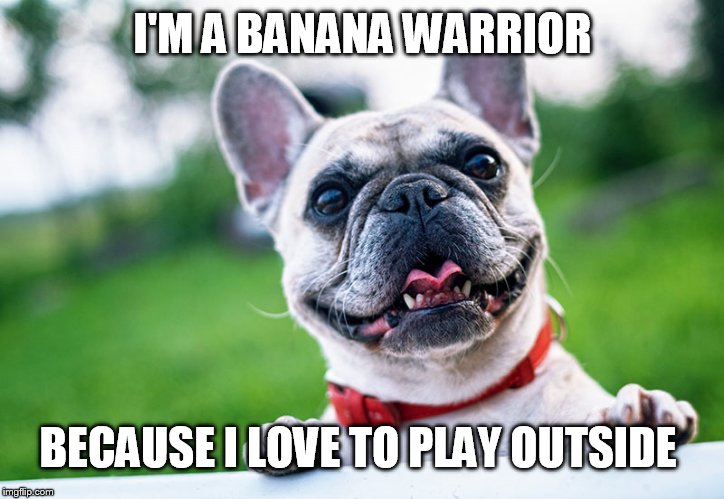 Play outside  | I'M A BANANA WARRIOR; BECAUSE I LOVE TO PLAY OUTSIDE | image tagged in play,fun,banana | made w/ Imgflip meme maker