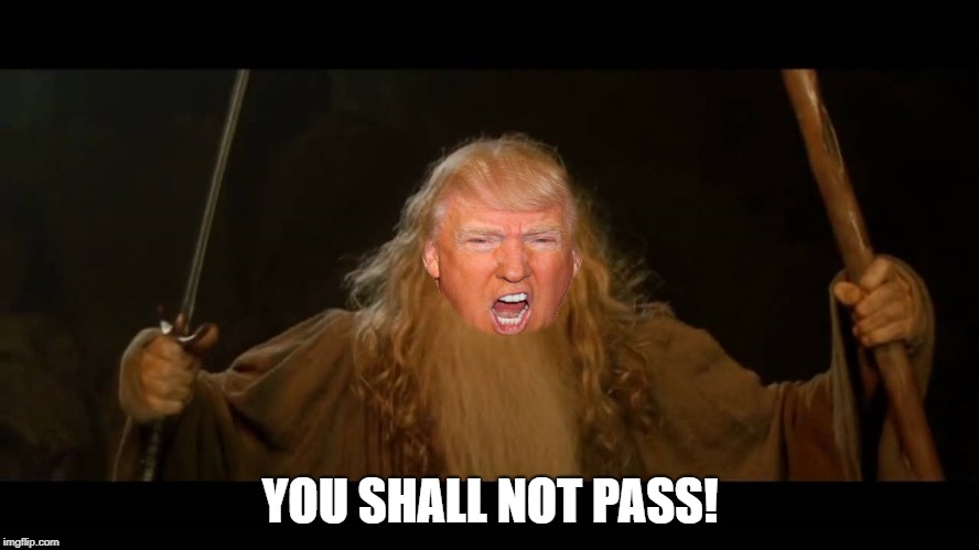 YOU SHALL NOT PASS! | image tagged in donald trump,midterms,united nations,united states,national security,neckbeard | made w/ Imgflip meme maker