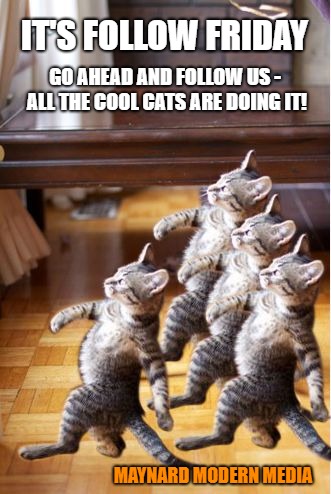 4 cat follow go back | IT'S FOLLOW FRIDAY; GO AHEAD AND FOLLOW US - ALL THE COOL CATS ARE DOING IT! MAYNARD MODERN MEDIA | image tagged in 4 cat follow go back | made w/ Imgflip meme maker