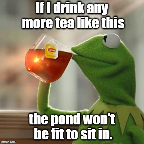 .. | If I drink any more tea like this; the pond won't be fit to sit in. | image tagged in memes,but thats none of my business,kermit the frog,tea,pond,dirty | made w/ Imgflip meme maker