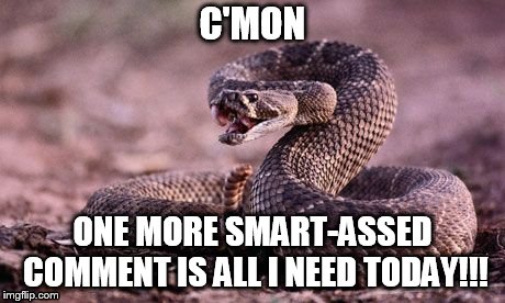 Rattlesnake |  C'MON; ONE MORE SMART-ASSED COMMENT IS ALL I NEED TODAY!!! | image tagged in rattlesnake | made w/ Imgflip meme maker