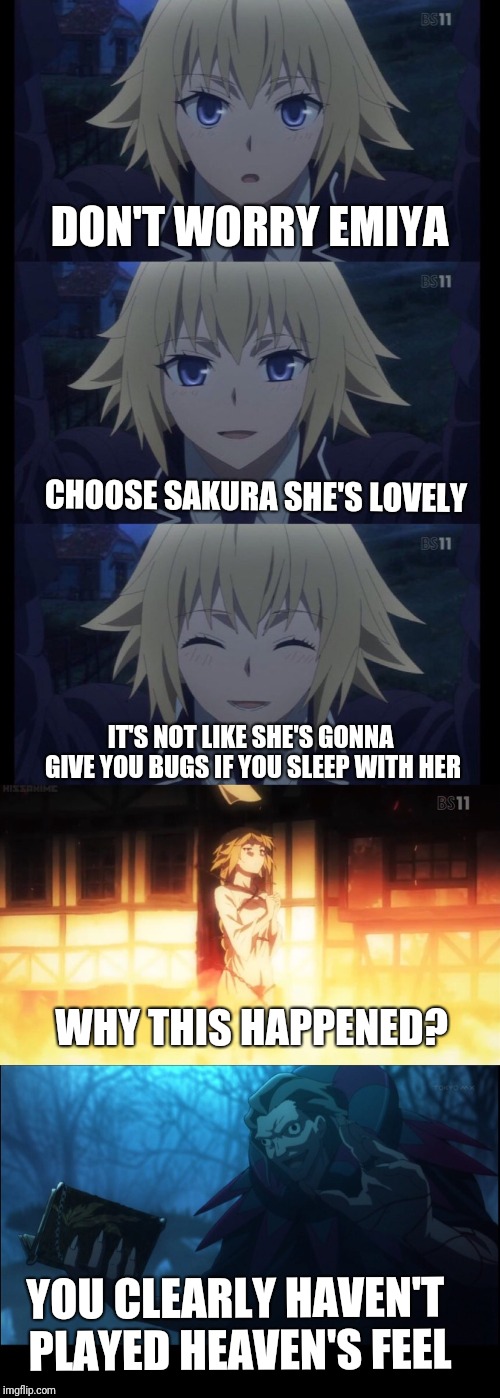 Fate apocrypha | DON'T WORRY EMIYA CHOOSE SAKURA SHE'S LOVELY IT'S NOT LIKE SHE'S GONNA GIVE YOU BUGS IF YOU SLEEP WITH HER WHY THIS HAPPENED? YOU CLEARLY HA | image tagged in fate apocrypha | made w/ Imgflip meme maker