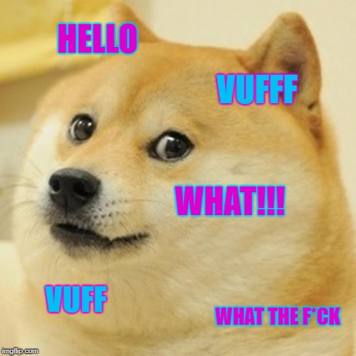 Doge Meme | HELLO; VUFFF; WHAT!!! VUFF; WHAT THE F*CK | image tagged in memes,doge | made w/ Imgflip meme maker