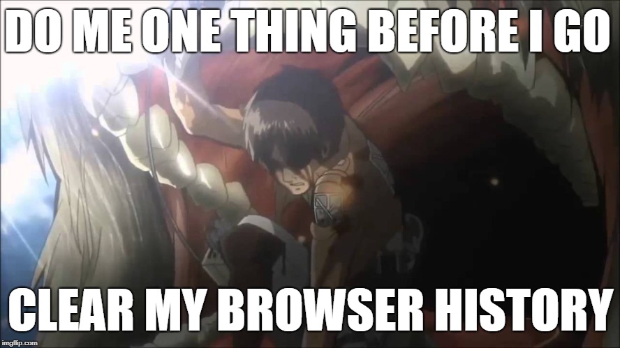 Do me one thing before I go, Clear my browser history | DO ME ONE THING BEFORE I GO; CLEAR MY BROWSER HISTORY | image tagged in funny memes | made w/ Imgflip meme maker