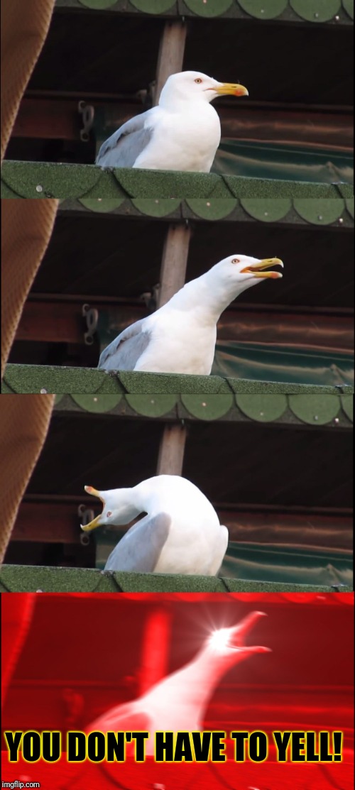 Inhaling Seagull Meme | YOU DON'T HAVE TO YELL! | image tagged in memes,inhaling seagull | made w/ Imgflip meme maker