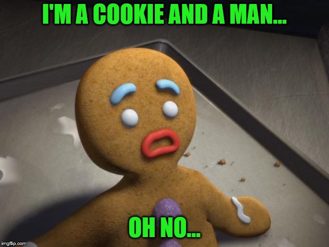 Gingerbread man | I'M A COOKIE AND A MAN... OH NO... | image tagged in gingerbread man | made w/ Imgflip meme maker