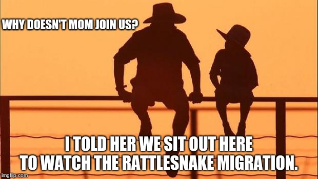 Cowboy wisdom, where is mom? | WHY DOESN'T MOM JOIN US? I TOLD HER WE SIT OUT HERE TO WATCH THE RATTLESNAKE MIGRATION. | image tagged in cowboy father and son | made w/ Imgflip meme maker